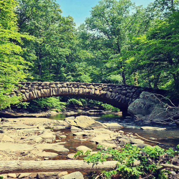 Navigating the Western Ridge and Valley Trail Loop of Rock Creek Park: A Hiker’s Perspective