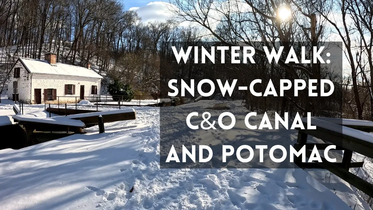 Winter Walk: Snow-Capped C&O Canal and Potomac